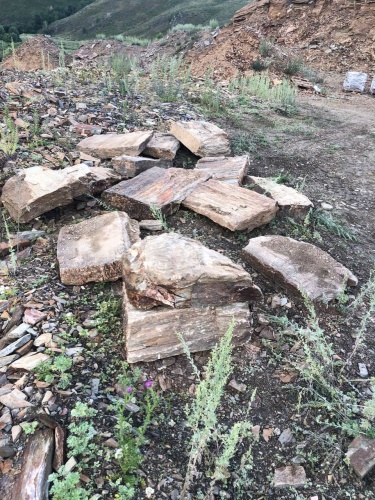 Плитняк кора дерева 50-100мм для пошаговых дорожек купить в Сахалине